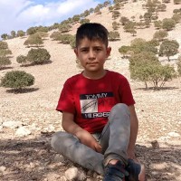 پشتیوان پاشایی