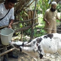 Rezaul Alam