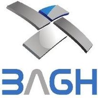 Bagh Consulting Group