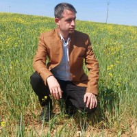 Hamza Haj Suleiman