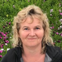 Paula Stevens