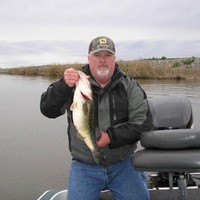 Greg Davis
