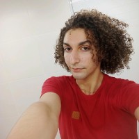 Gabriel Silva Torres