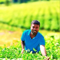 Raja Paulraj