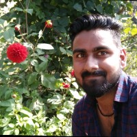 Ankit Rawat