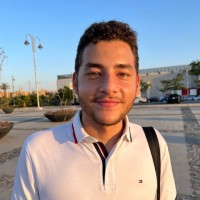 Mansour Aly