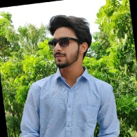 ARYAN ROY