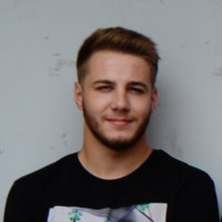 Ionut Savin