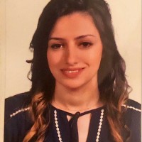 Sally Bassiouni