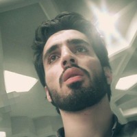 S. Mohammad Javad FatemiNia