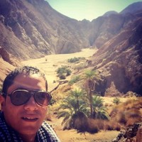 mostafa mohsen