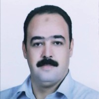 Emad Ibrahim Hamdy, PMP®