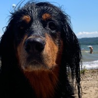 Mone Stiftung Vivala