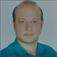 Seyed Ali Beladi
