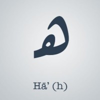 Hadeel Altamimi
