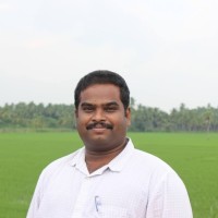 Dr. P K K Varma