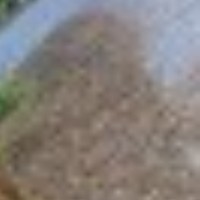 a b