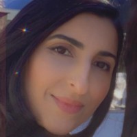 Sabeen Hussain