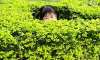 Thắm Đỗ