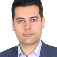 Seyed Hesam Hashemi