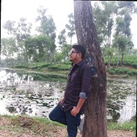 Md. Parvez