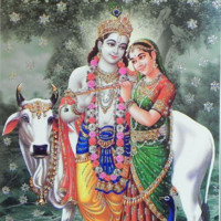 vinodkumar muthyala