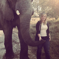Elisabeth Sucharda, Ms