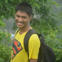 Mayur Palav