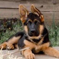 Juan David Pinto Cajiao