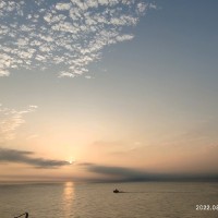 Hao Zhang