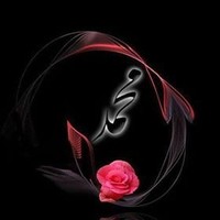 omayma abdel raheem essa