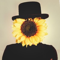 Aviv Girasole