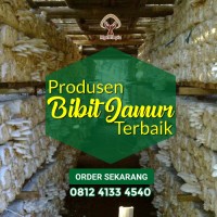 Produsen Bibit Jamur Tiram
