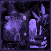 VÍCTOR RAMÓN SEGARRA CASTRO