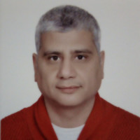 Hossam Nagi Abdelsalam