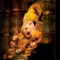 Prachi Kshirsagar