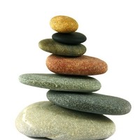 Dr. Cheryl D. Proctor