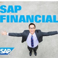 Mostafa SAP FICO