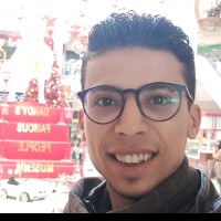 Mahmoud Essam