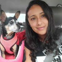 Suellen Rocha De Sá