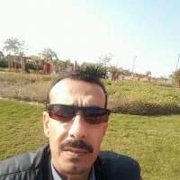 essam mahmoud