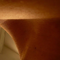 Kerri Strobl