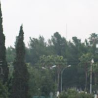 Mansor Saif