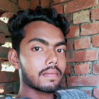 Shameem Ansari