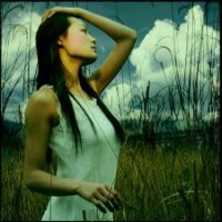 Sharon Luan