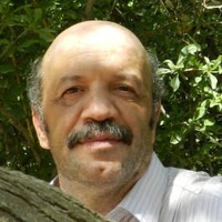 m.taghi amini