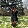 Dan CHEN