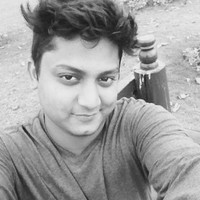 WASHIM ANSARI