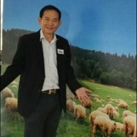 Aree Dungsirisangthong