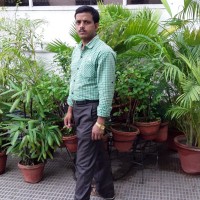 Amitav Pal